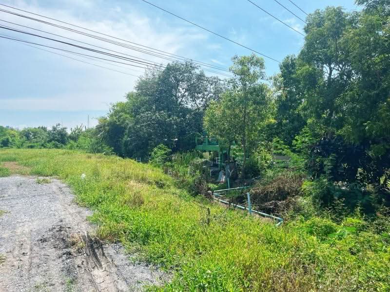 ที่ดินโพธิ์พระยา สุพรรณบุรี, Suphan Buri, Pho Phraya, Muang Suphanburi, Suphan Buri, , 1,600 sqm, Land For Sale, by The Best Property แอ้, 500624001 - DDproperty.com