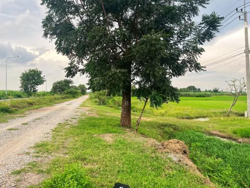 ที่ดินพนมทวน กาญจนบุรี, Kanchanaburi, Phang Tru, Phanom Thuan, Kanchanaburi, , 28,288 sqm, Land For Sale, by The Best Property แอ้, 500624023 - DDproperty.com