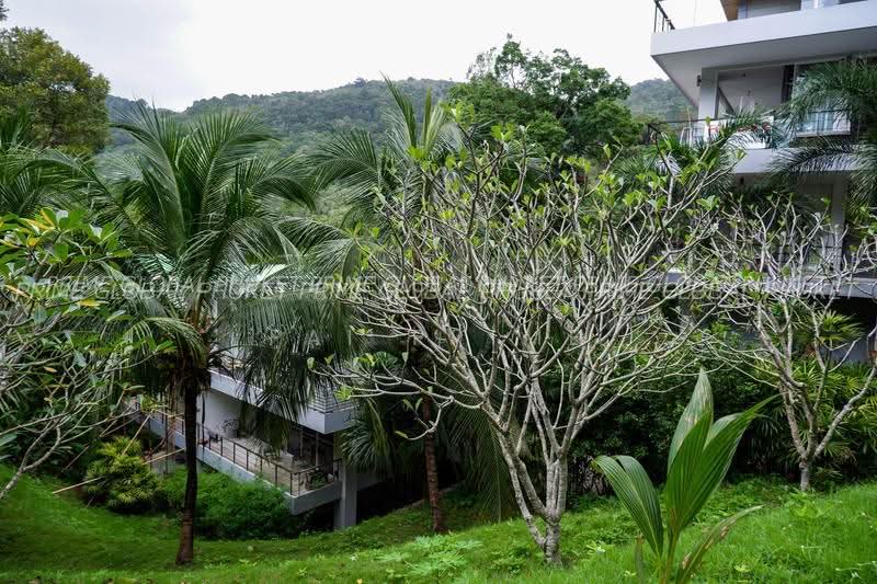 Zen Space, Phuket, Kamala, Kammala, Kathu, Phuket, 2 Bedrooms, 105 sqm, Condo For Rent, by fai prime, 500624082 - DDproperty.com