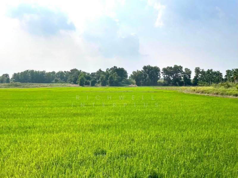 Land for sale in Ta Khan, 6 rai, adjacent to the concrete road at Soi Ban Kao School., Rayong, Ta Khan, Ban Khai, Rayong, , 10,384 sqm, Land For Sale, by RICHWELL INTERPLUS, 500624145 - DDproperty.com