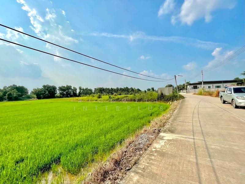 ขายที่ดินตาขัน 6 ไร่ ติดถนนคอนกรีตซอยโรงเรียนบ้านเก่า, ระยอง, ตาขัน, บ้านค่าย, ระยอง, 10,384 ตร.ม., ที่ดิน ขาย, โดย RICHWELL INTERPLUS, 500624145 - DDproperty.com