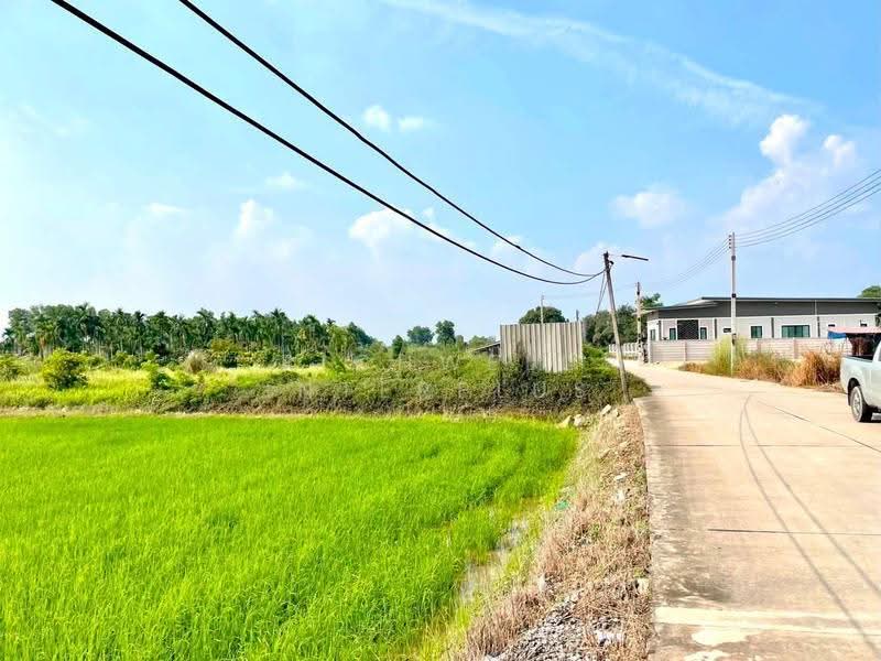 Land for sale in Ta Khan, 6 rai, adjacent to the concrete road at Soi Ban Kao School., Rayong, Ta Khan, Ban Khai, Rayong, , 10,384 sqm, Land For Sale, by RICHWELL INTERPLUS, 500624145 - DDproperty.com