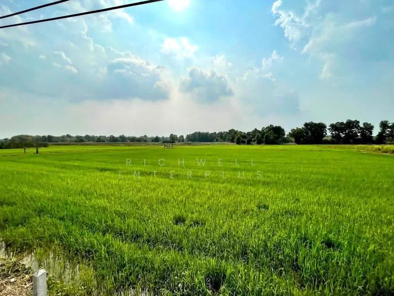 ขายที่ดินตาขัน 6 ไร่ ติดถนนคอนกรีตซอยโรงเรียนบ้านเก่า, ระยอง, ตาขัน, บ้านค่าย, ระยอง, 10,384 ตร.ม., ที่ดิน ขาย, โดย RICHWELL INTERPLUS, 500624145 - DDproperty.com