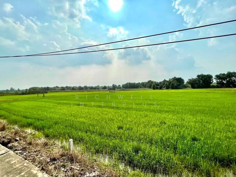 Land for sale in Ta Khan, 6 rai, adjacent to the concrete road at Soi Ban Kao School., Rayong, Ta Khan, Ban Khai, Rayong, , 10,384 sqm, Land For Sale, by RICHWELL INTERPLUS, 500624145 - DDproperty.com