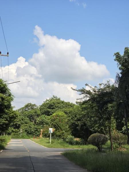 อบต.มะเริง, Nakhon Ratchasima, Ma Roeng, Muang Nakhon Ratchasima, Nakhon Ratchasima, , 288 sqm, Land For Sale, by พลิศภัสร์ โชคธนวีระกานต์, 500624149 - DDproperty.com