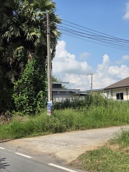 อบต.มะเริง, Nakhon Ratchasima, Ma Roeng, Muang Nakhon Ratchasima, Nakhon Ratchasima, , 288 sqm, Land For Sale, by พลิศภัสร์ โชคธนวีระกานต์, 500624149 - DDproperty.com
