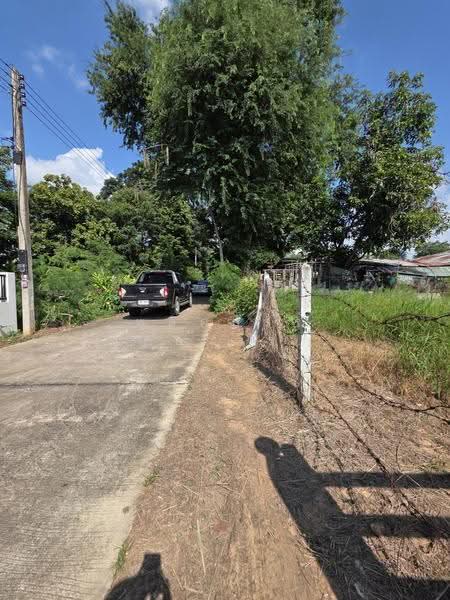 อบต.มะเริง, Nakhon Ratchasima, Ma Roeng, Muang Nakhon Ratchasima, Nakhon Ratchasima, , 288 sqm, Land For Sale, by พลิศภัสร์ โชคธนวีระกานต์, 500624149 - DDproperty.com