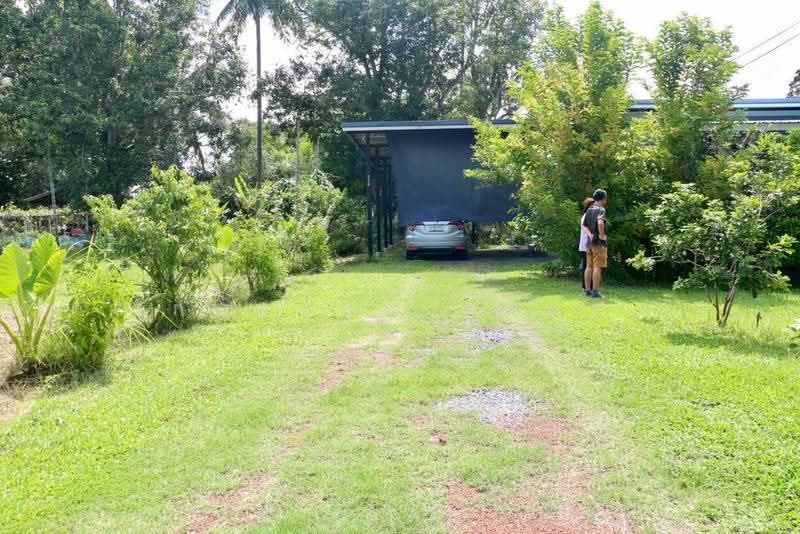 ขายบ้านสวนวิวเขา 360° เขาพระ นครนายก 2 ไร่ พร้อมบ้าน+สวนผลไม้ เหมาะทำพูลวิลล่า/รีสอร์ท, Nakhon Nayok, Khao Phra, Muang Nakhon Nayok, Nakhon Nayok, , 3,200 sqm, Land For Sale, by กมลชนก วิถีพร, 500624239 - DDproperty.com