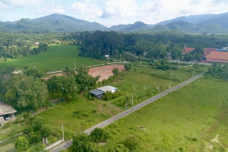 ขายบ้านสวนวิวเขา 360° เขาพระ นครนายก 2 ไร่ พร้อมบ้าน+สวนผลไม้ เหมาะทำพูลวิลล่า/รีสอร์ท, นครนายก, เขาพระ, เมืองนครนายก, นครนายก, 3,200 ตร.ม., ที่ดิน ขาย, โดย กมลชนก วิถีพร, 500624239 - DDproperty.com