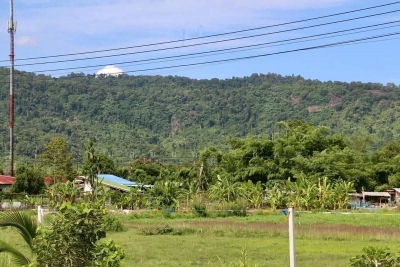 ขายบ้านสวนวิวเขา 360° เขาพระ นครนายก 2 ไร่ พร้อมบ้าน+สวนผลไม้ เหมาะทำพูลวิลล่า/รีสอร์ท, นครนายก, เขาพระ, เมืองนครนายก, นครนายก, 3,200 ตร.ม., ที่ดิน ขาย, โดย กมลชนก วิถีพร, 500624239 - DDproperty.com