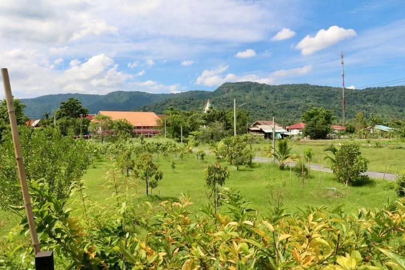 ขายบ้านสวนวิวเขา 360° เขาพระ นครนายก 2 ไร่ พร้อมบ้าน+สวนผลไม้ เหมาะทำพูลวิลล่า/รีสอร์ท, Nakhon Nayok, Khao Phra, Muang Nakhon Nayok, Nakhon Nayok, , 3,200 sqm, Land For Sale, by กมลชนก วิถีพร, 500624239 - DDproperty.com