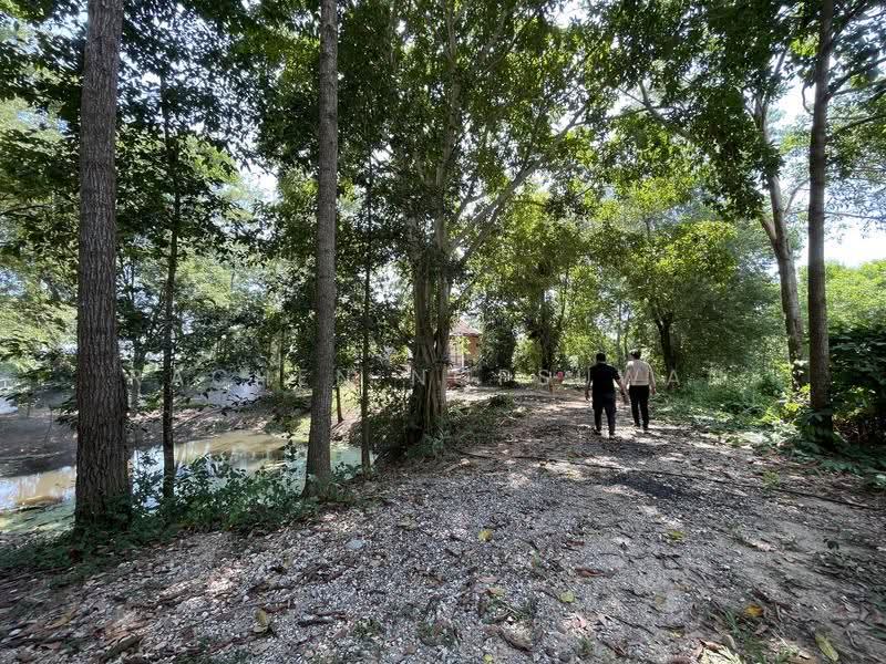 Sale: Beautiful plot of land in Ko Taeo, Songkhla—ideal for a pool villa or resort. Size: 33 Rai, Songkhla, Ko Taeo, Muang Songkhla, Songkhla, , 53,014 sqm, Land For Sale, by Rachen Nopsuwan, 500624362 - DDproperty.com