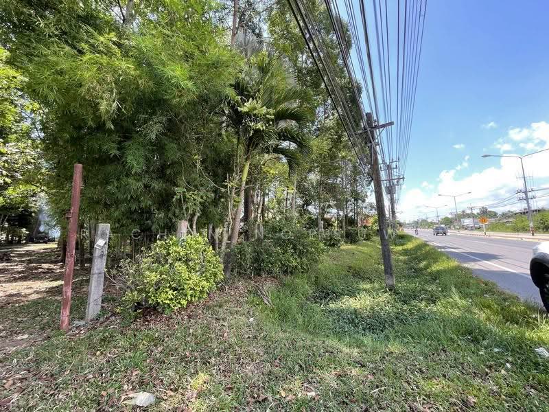 Sale: Beautiful plot of land in Ko Taeo, Songkhla—ideal for a pool villa or resort. Size: 33 Rai, Songkhla, Ko Taeo, Muang Songkhla, Songkhla, , 53,014 sqm, Land For Sale, by Rachen Nopsuwan, 500624362 - DDproperty.com