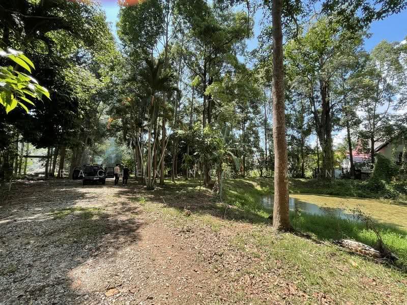 Sale: Beautiful plot of land in Ko Taeo, Songkhla—ideal for a pool villa or resort. Size: 33 Rai, Songkhla, Ko Taeo, Muang Songkhla, Songkhla, , 53,014 sqm, Land For Sale, by Rachen Nopsuwan, 500624362 - DDproperty.com