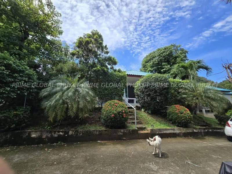 DockKhun Andaman, ภูเก็ต, ราไวย์, เมืองภูเก็ต, ภูเก็ต, 49 ตร.ม., วิลล่า ให้เช่า, โดย Case Prime, 500624398 - DDproperty.com
