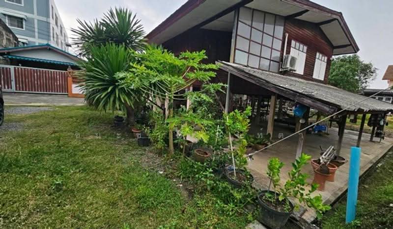 เสนานิคม 1 ซอย 25 แยก 6, Bangkok, Chorake Bua, Lat Phrao, Bangkok, , 244 sqm, Land For Sale, by ชนะชาติ นนท์ตา, 500624409 - DDproperty.com