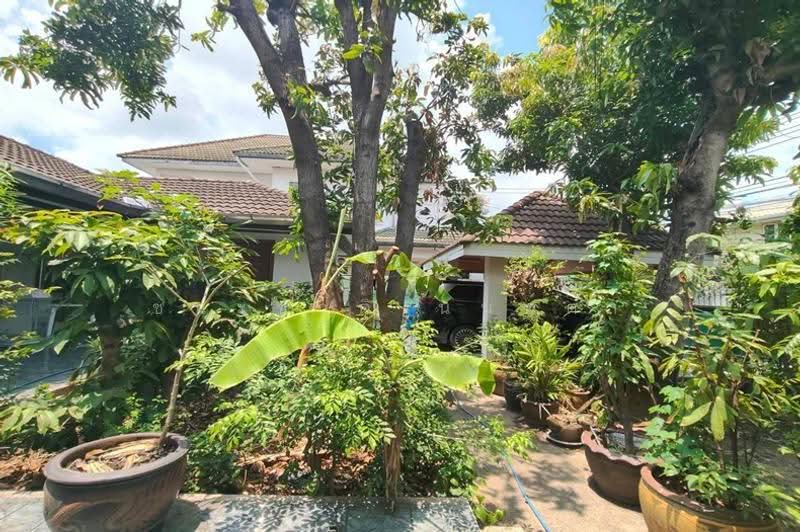 บ้านเดี่ยว 2 ชั้น เนื้อที่ 116 ตร.ว. ซอยสุขุมวิท 109 (ซอยพรสว่าง 15), สมุทรปราการ, สำโรงเหนือ, เมืองสมุทรปราการ, สมุทรปราการ, 200 ตร.ม., บ้านเดี่ยว ขาย, โดย ชนะชาติ นนท์ตา, 500624639 - DDproperty.com