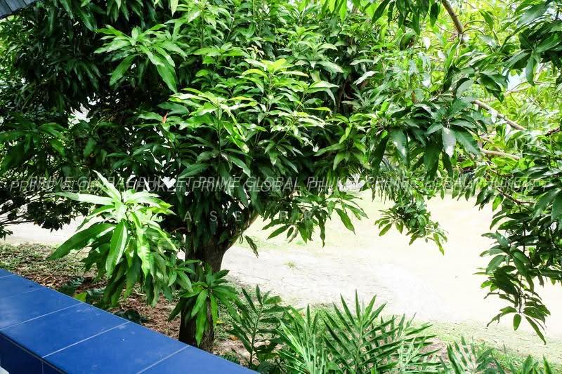 House Rent karon, Phuket, Karon, Muang Phuket, Phuket, 2 Bedrooms, 100 sqm, Single Detached House For Rent, by Case Prime, 500624691 - DDproperty.com