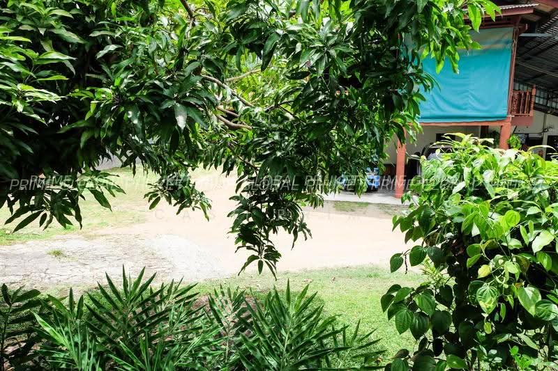House Rent karon, Phuket, Karon, Muang Phuket, Phuket, 2 Bedrooms, 100 sqm, Single Detached House For Rent, by Case Prime, 500624691 - DDproperty.com