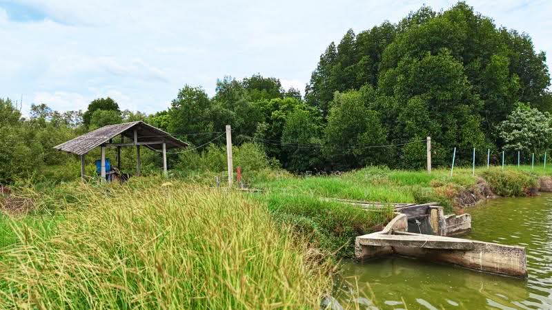ที่ดินบ้านแหลม เพชรบุรี, Phetchaburi, Bang Tabun Ok, Ban Laem, Phetchaburi, , 95,940 sqm, Land For Sale, by The Best Property ต่าย, 500624698 - DDproperty.com