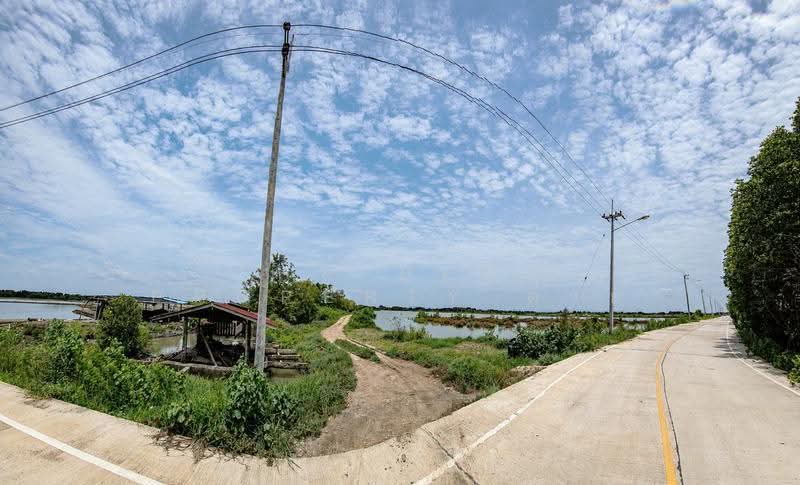 ที่ดินบ้านแหลม เพชรบุรี, Phetchaburi, Bang Tabun Ok, Ban Laem, Phetchaburi, , 95,940 sqm, Land For Sale, by The Best Property ต่าย, 500624698 - DDproperty.com