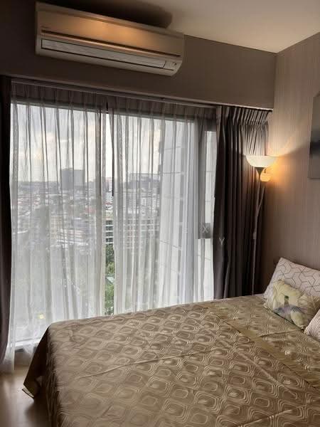 Whizdom Connect Sukhumvit : วิสซ์ดอม คอนเนค สุขุมวิท, กรุงเทพ, 1 ซอยปิยบุตร์ 1 ถนนสุขุมวิท, บางนา, กรุงเทพ, 29 ตร.ม., คอนโด ให้เช่า, โดย Connex Property, 500624719 - DDproperty.com
