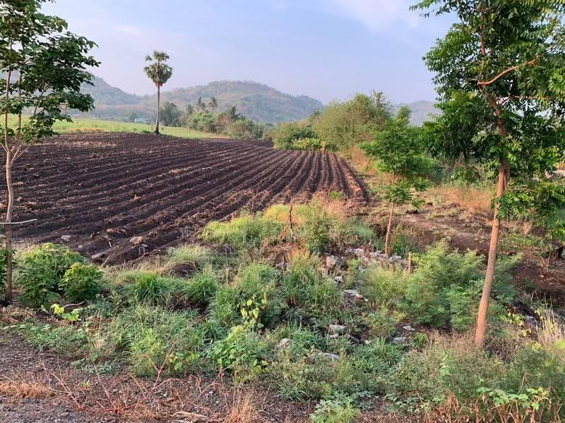 ศิลาทิพย์, Lop Buri, Silathip, Chai Badan, Lop Buri, , 6,588 sqm, Land For Sale, by พัชรธมนต์ ก่อเกียรติวนิช, 500624918 - DDproperty.com