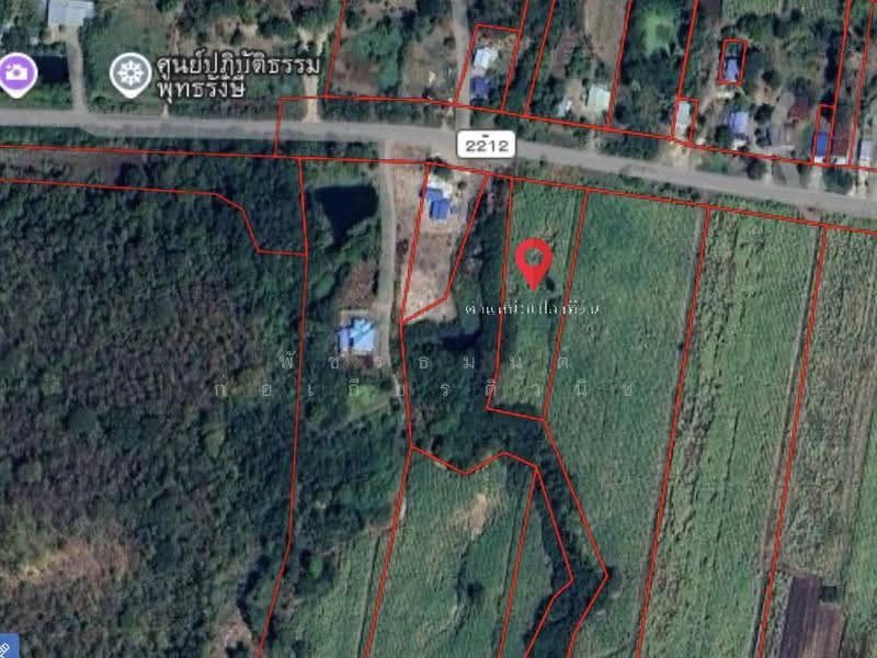 ศิลาทิพย์, Lop Buri, Silathip, Chai Badan, Lop Buri, , 6,588 sqm, Land For Sale, by พัชรธมนต์ ก่อเกียรติวนิช, 500624918 - DDproperty.com