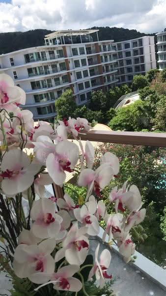 Phyll Phuket, Phuket, 9 Village No. 4 Muang Naka Rd, Wichit, Muang Phuket, Phuket, 1 Bedroom, 30 sqm, Condo For Sale, by PrimeGlobalAsset, 500625005 - DDproperty.com
