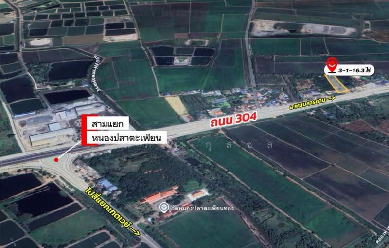 ท่าทองหลาง, ฉะเชิงเทรา, ท่าทองหลาง, บางคล้า, ฉะเชิงเทรา, 5,264 ตร.ม., ที่ดิน ขาย, โดย สมภพ กุลชล, 500625174 - DDproperty.com