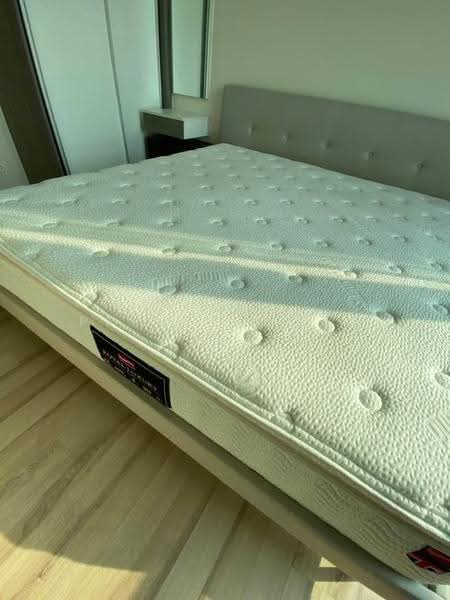 The Base Downtown, Phuket, Wichit Songkhram, Wichit, Muang Phuket, Phuket, 1 Bedroom, 32 sqm, Condo For Rent, by PrimeGlobalAsset, 500625292 - DDproperty.com