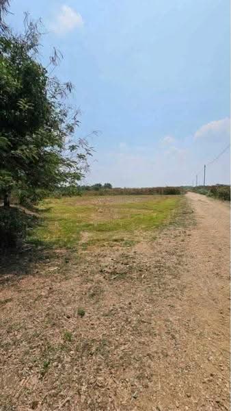 ที่ดินกำแพงแสน นครปฐม, Nakhon Pathom, Wang Nam Kieo, Kamphaeng Saen, Nakhon Pathom, , 5,408 sqm, Land For Sale, by The Best Property เจี๊ยบ, 500625308 - DDproperty.com