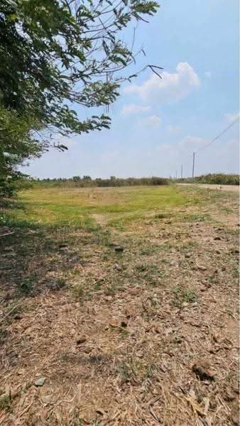 ที่ดินกำแพงแสน นครปฐม, Nakhon Pathom, Wang Nam Kieo, Kamphaeng Saen, Nakhon Pathom, , 5,408 sqm, Land For Sale, by The Best Property เจี๊ยบ, 500625308 - DDproperty.com