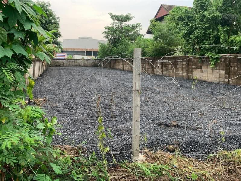 ที่ดินเปล่า 80 ตร.ว. ที่ดิน ใกล้มหาวิทยาลัยเกษมบัณฑิต ซอยรามคำแหง184 (คุ้มราษี), กรุงเทพ, ถนนรามคำแหง, มีนบุรี, กรุงเทพ, 320 ตร.ม., ที่ดิน ขาย, โดย คุณ ธัญพิสิษฐ์ จิตประพัฒน์ (โซน), 500625549 - DDproperty.com