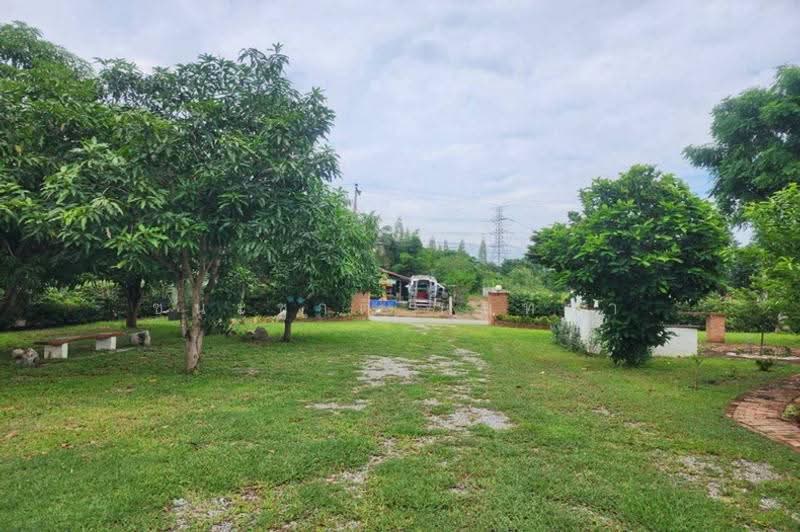 บ้านเดี่ยว 2 ชั้น เนื้อที่ 400 ตร.ว. หมู่บ้านหนองเสือดำ ซอยไร่แลนด์ 2, ประจวบคีรีขันธ์, หินเหล็กไฟ, หัวหิน, ประจวบคีรีขันธ์, 1,600 ตร.ม., บ้านเดี่ยว ขาย, โดย ชนะชาติ นนท์ตา, 500625717 - DDproperty.com