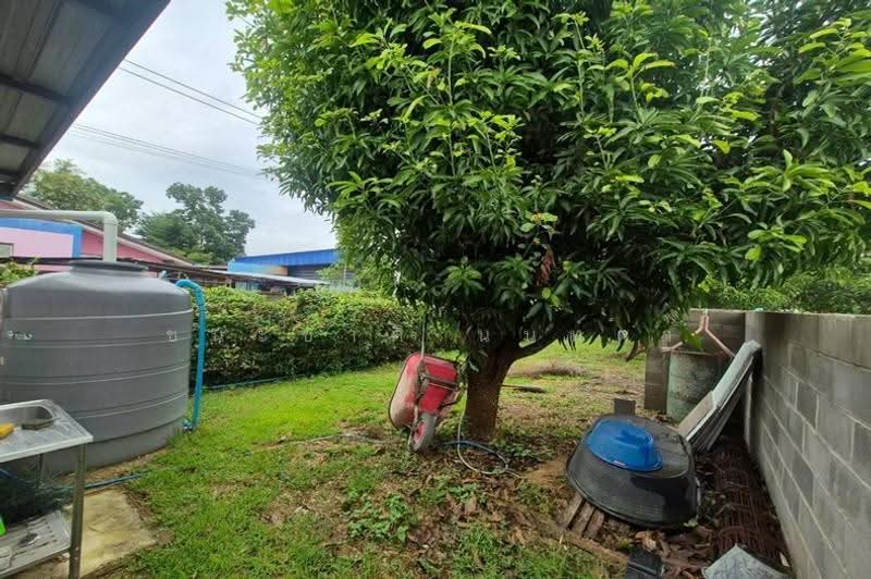 บ้านเดี่ยว 2 ชั้น เนื้อที่ 400 ตร.ว. หมู่บ้านหนองเสือดำ ซอยไร่แลนด์ 2, Prachuap Khiri Khan, Hin Lek Fai, Hua Hin, Prachuap Khiri Khan, 3 Bedrooms, 1,600 sqm, Single Detached House For Sale, by ชนะชาติ นนท์ตา, 500625717 - DDproperty.com