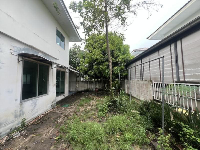 Patreeda Villa Pathumthani 2 : ภัทรีดา วิลล่า ปทุมธานี 2 , ปทุมธานี, ซอยวัดหนองปรง, บางเดื่อ, เมืองปทุมธานี, ปทุมธานี, 152 ตร.ม., บ้านเดี่ยว ขาย, โดย ก้อง เกตุศร, 500625881 - DDproperty.com