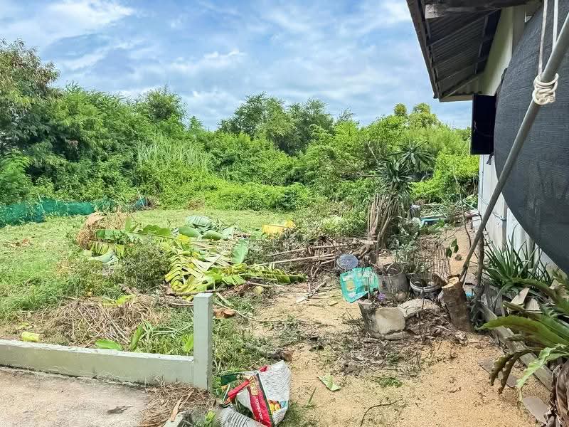 ขาย ที่ดินพร้อมบ้าน นาเกลือ พัทยาเหนือ, ชลบุรี, หนองปรือ, บางละมุง, ชลบุรี, 712 ตร.ม., ที่ดิน ขาย, โดย PLC Real Estate, 500625903 - DDproperty.com