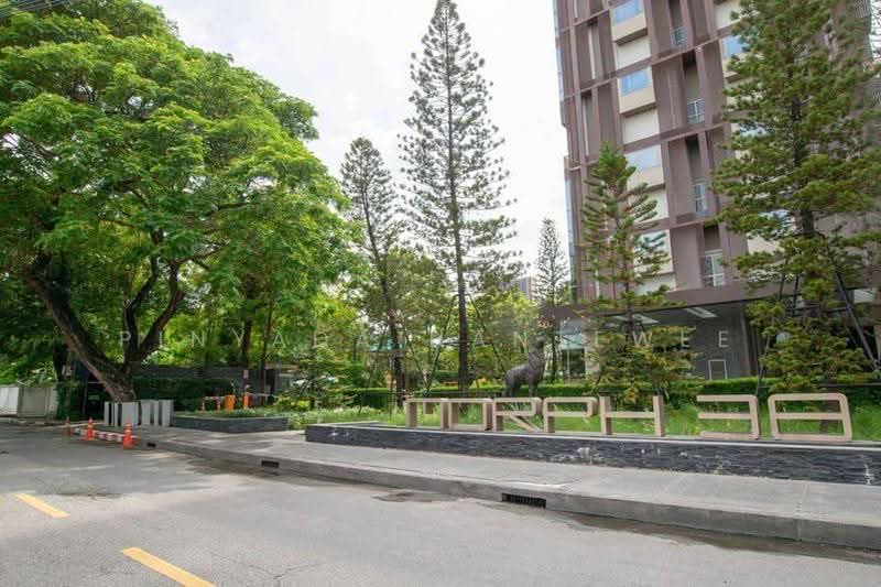ASHTON Morph 38, Bangkok, 88 Soi Sukhumvit 38, Phra Kanong, Khlong Toei, Bangkok, 2 Bedrooms, 74 sqm, Condo For Rent, by Pinyada Hantewee, 500625943 - DDproperty.com