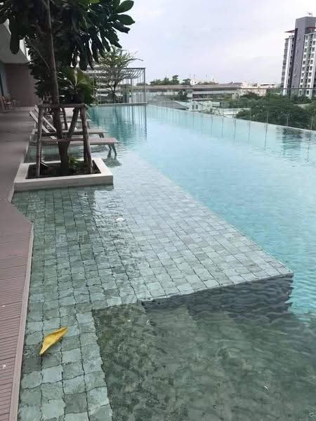 Whizdom Connect Sukhumvit : วิสซ์ดอม คอนเนค สุขุมวิท, กรุงเทพ, 1 ซอยปิยบุตร์ 1 ถนนสุขุมวิท, บางนา, กรุงเทพ, 30 ตร.ม., คอนโด ให้เช่า, โดย Somrad Phoopruksachart, 500626011 - DDproperty.com