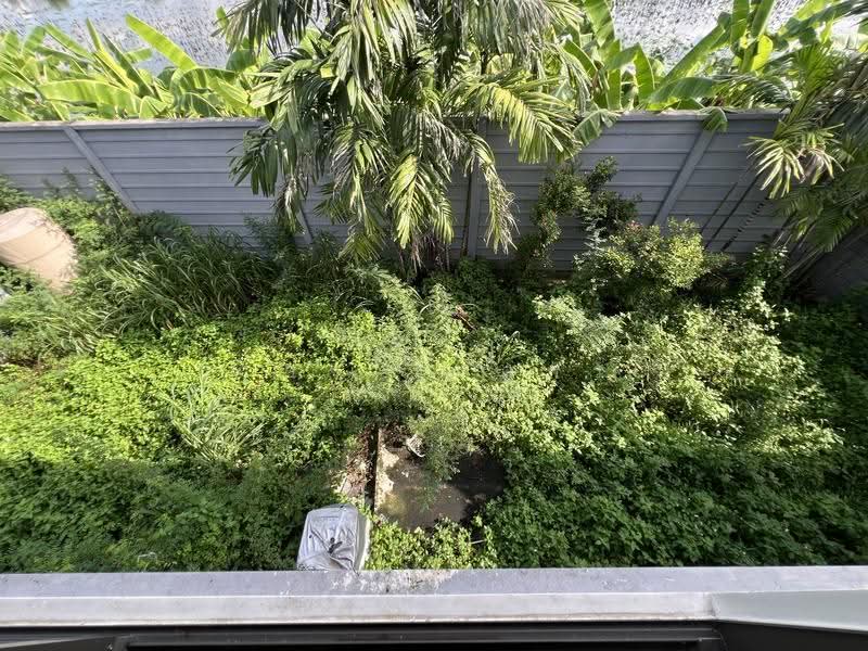 Viranya Wongwaen-Onnut, Bangkok, Kanchanaphisek Road, Dok Mai, Prawet, Bangkok, 3 Bedrooms, 154 sqm, Single Detached House For Sale, by ก้อง เกตุศร, 500626154 - DDproperty.com