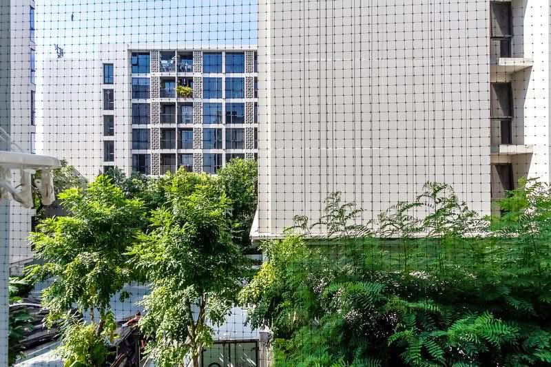 My Condo Sukhumvit 81 : มายคอนโด สุขุมวิท81, กรุงเทพ, ซอยสุขุมวิท 81 ถนนสุขุมวิท, บางจาก, พระโขนง, กรุงเทพ, 25 ตร.ม., คอนโด ให้เช่า, โดย Win Chan, 500626245 - DDproperty.com