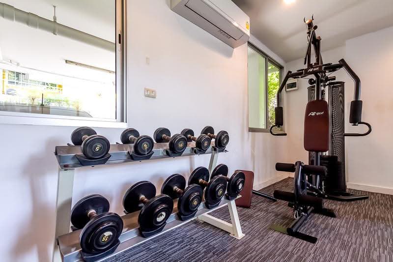 My Condo Sukhumvit 81, Bangkok, Soi Sukhumvit 81 Sukhumvit Road, Bang Chak, Phra Khanong, Bangkok, Studio, 25 sqm, Condo For Rent, by Win Chan, 500626245 - DDproperty.com