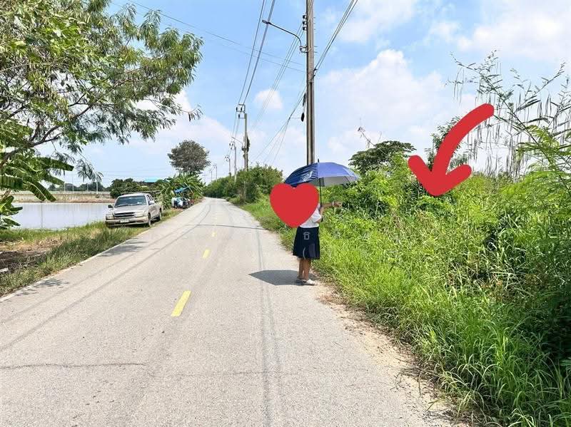 ที่ดินเปล่า 127 ตร.ว. ที่ดิน ใกล้เซ็นทรัลเวสต์เกต ซอยเทศบาล10, นนทบุรี, ถนนกาญจนาภิเษก, บางแม่นาง, บางใหญ่, นนทบุรี, 508 ตร.ม., ที่ดิน ขาย, โดย คุณ พันธ์ทิพย์ จุสมใจ (ทิพย์), 500626307 - DDproperty.com