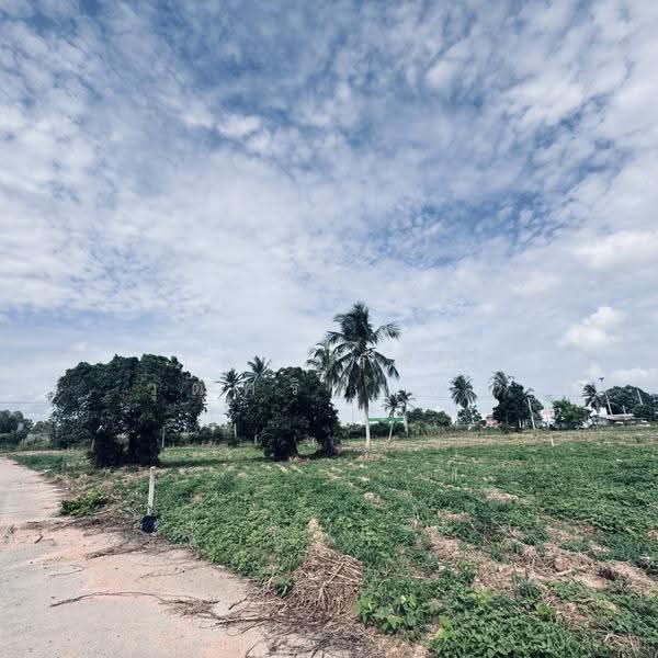 Long-term land lease available on Sukhumvit Road, near Laem Chabang Port., Chon Buri (Pattaya), ชลบุรี - พัทยา, Bueng, Si Racha, Chon Buri (Pattaya), , 9,758 sqm, Warehouse/Factory For Rent, by ภัครวรรณ์ วุฒิศรินพัฒน์, 500626421 - DDproperty.com