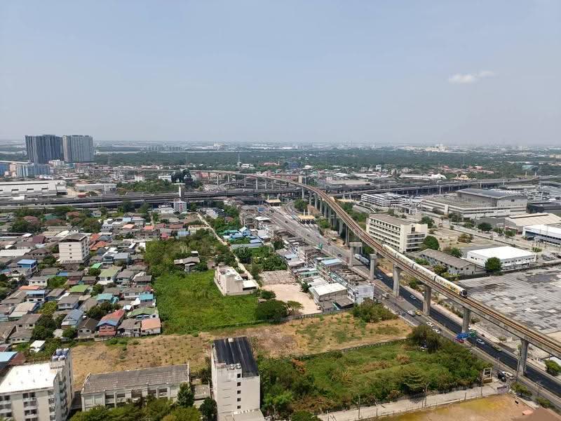 Supalai Veranda Sukhumvit 117 : ศุภาลัย เวอเรนด้า สุขุมวิท 117, สมุทรปราการ, ถ. สุขุมวิท 117, บางเมืองใหม่, เมืองสมุทรปราการ, สมุทรปราการ, 29 ตร.ม., คอนโด ให้เช่า, โดย กฤตวรรณ ทะลอมคำ, 500626423 - DDproperty.com