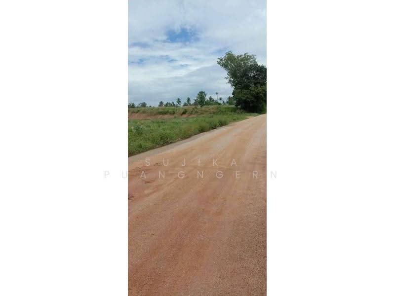 1-BR House, Chon Buri (Pattaya), Khao Mai Kaeo, Bang Lamung (Pattaya), Chon Buri (Pattaya), 1 Bedroom, 47 sqm, Single Detached House For Sale, by Sujika Puangngern, 500626463 - DDproperty.com