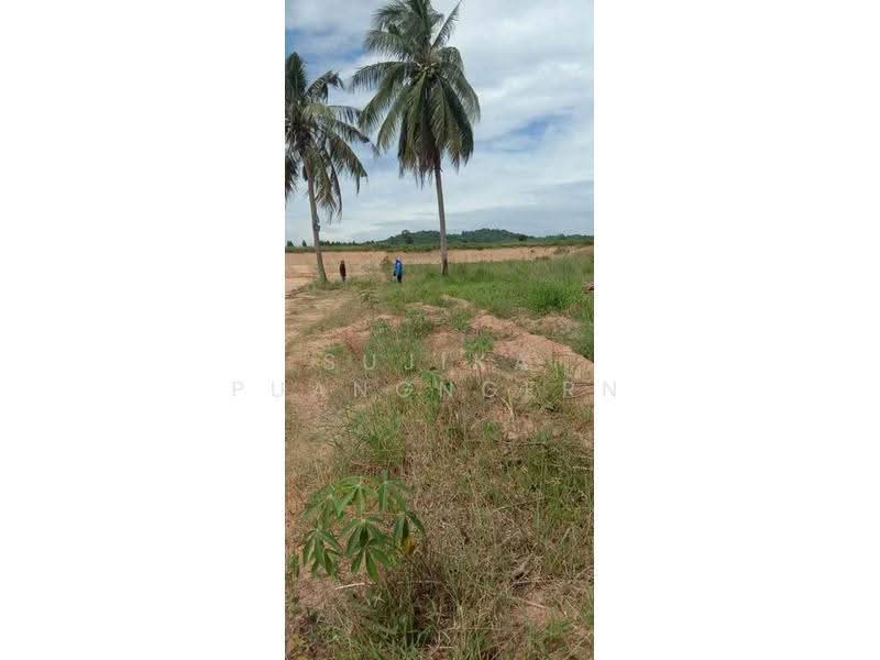 บ้าน 1-ห้องนอน, ชลบุรี, เขาไม้แก้ว, บางละมุง, ชลบุรี, 47 ตร.ม., บ้านเดี่ยว ขาย, โดย Sujika Puangngern, 500626463 - DDproperty.com