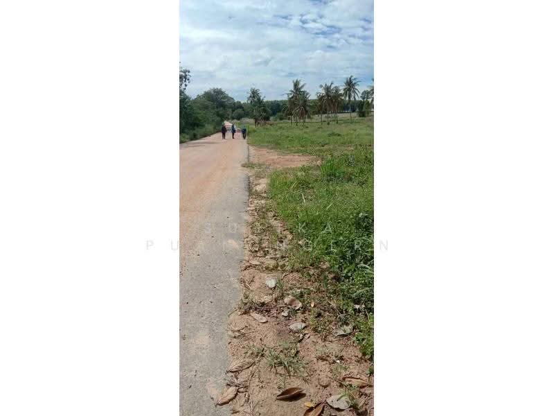 1-BR House, Chon Buri (Pattaya), Khao Mai Kaeo, Bang Lamung (Pattaya), Chon Buri (Pattaya), 1 Bedroom, 47 sqm, Single Detached House For Sale, by Sujika Puangngern, 500626463 - DDproperty.com