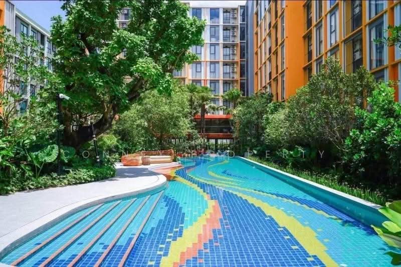 The Base Rise, Phuket, Wichit, Muang Phuket, Phuket, 1 Bedroom, 32 sqm, Condo For Rent, by Connex Property, 500626623 - DDproperty.com